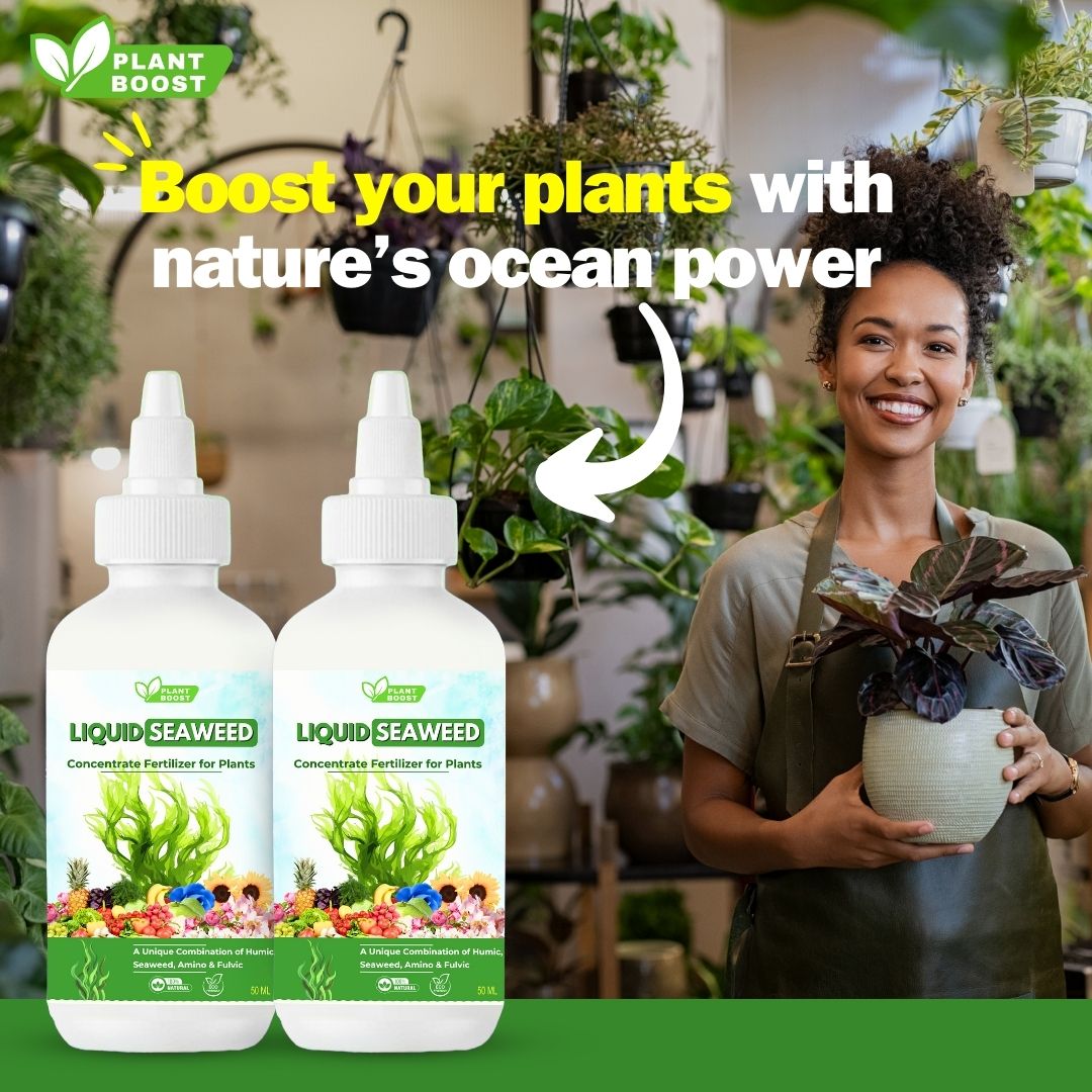 PlantBoost Liquid Seaweed Fertilizer - (PACK OF 2)